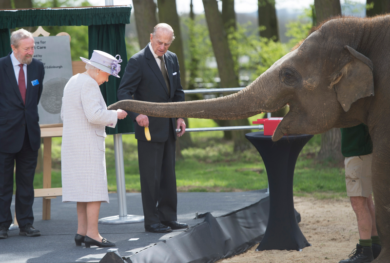 Photo via Getty Images.